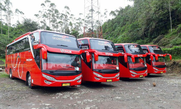 Medium Bus